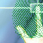 Your Basic Guide to Using Online Identification Tools