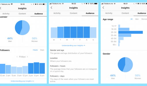 Instagram Insights